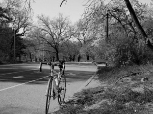 prospectpark